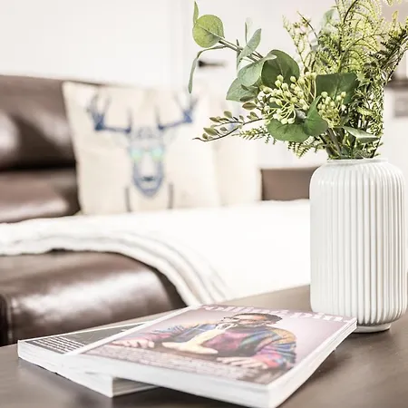 Daire View4two / Chalet-apartment Zillertal