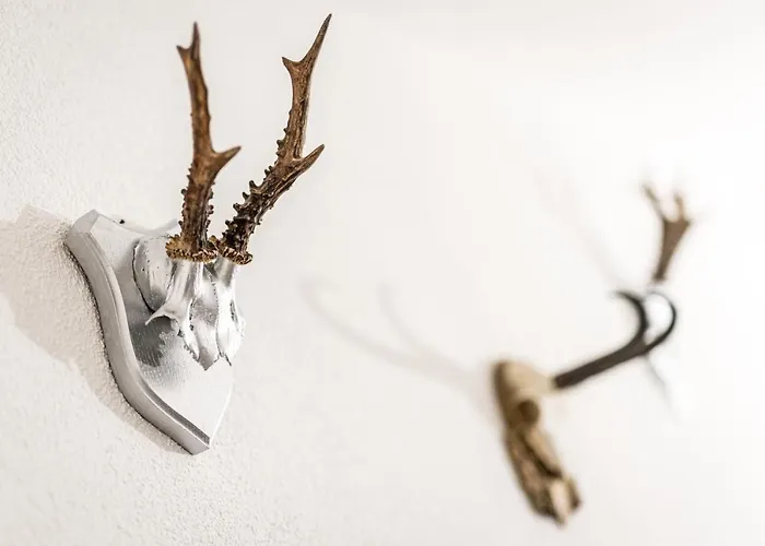 View4two / Chalet-apartment Zillertal Hart im Zillertal