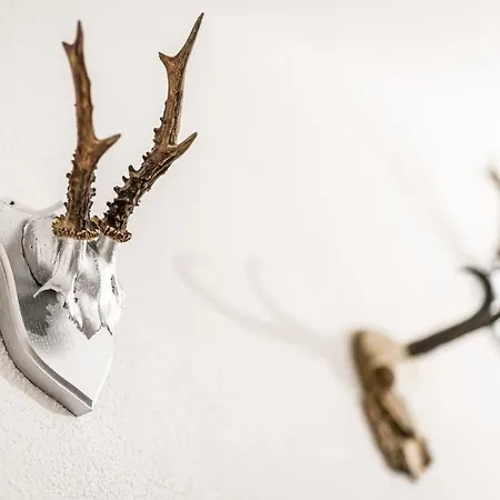 View4two / Chalet-apartment Zillertal Hart im Zillertal